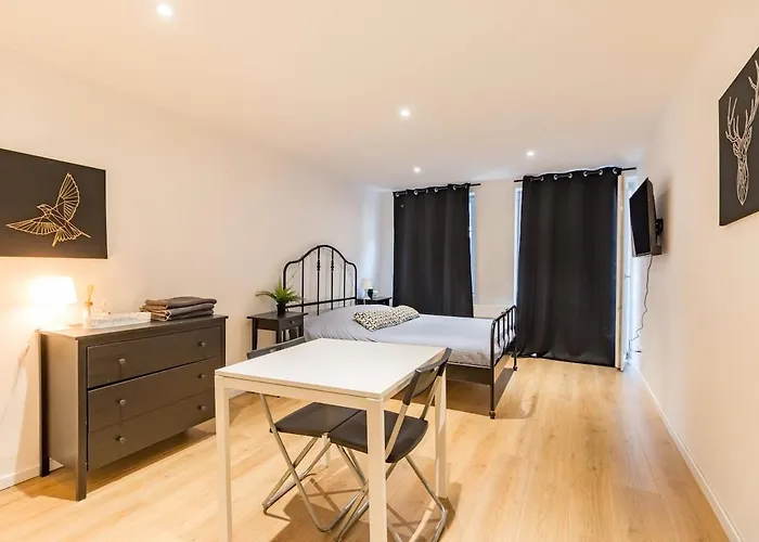 شقة Hyper Centre Cathedral ستراسبورغ